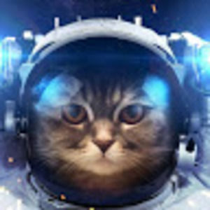 Meet your Posher, Steph